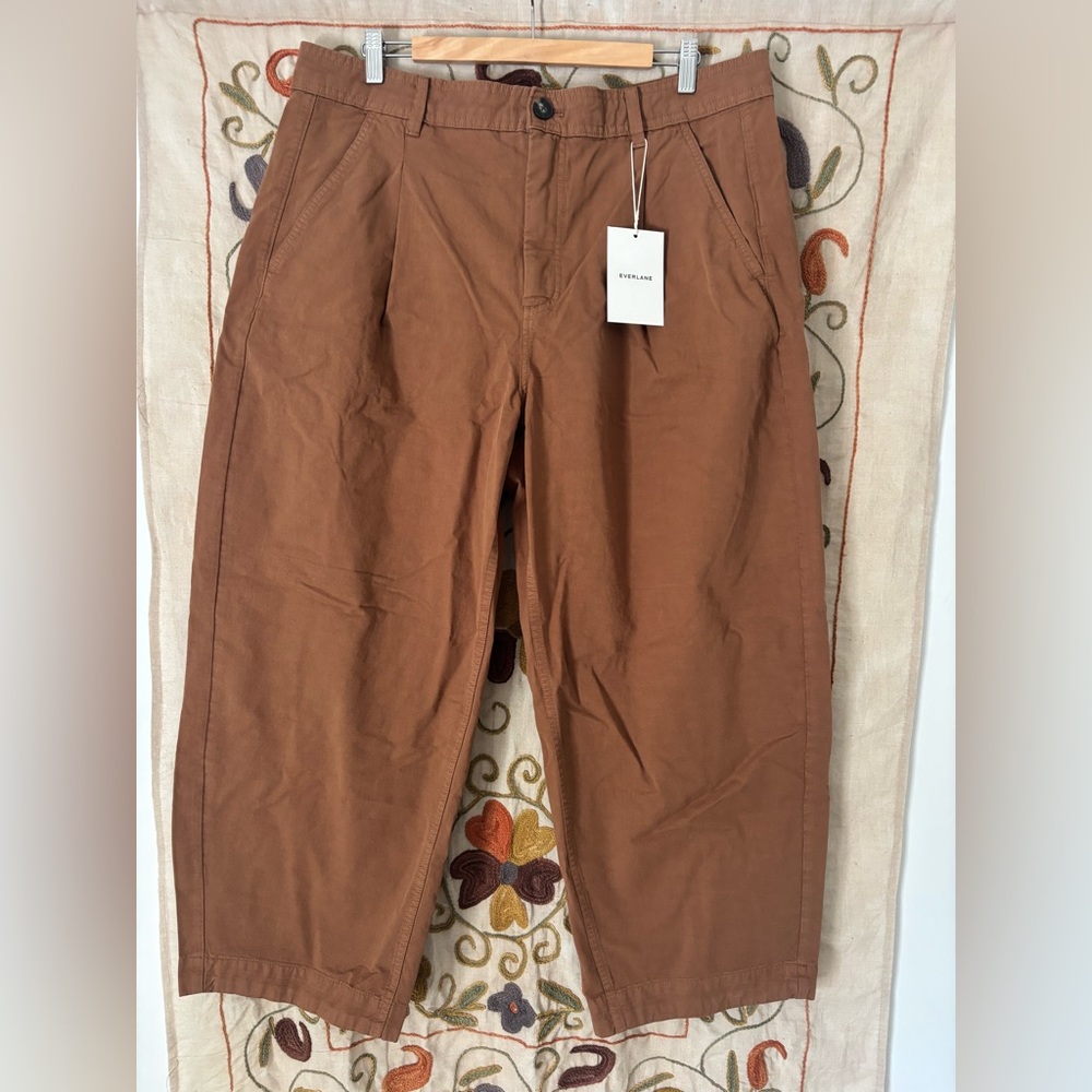 Everlane Brown Utility Barrel Pant